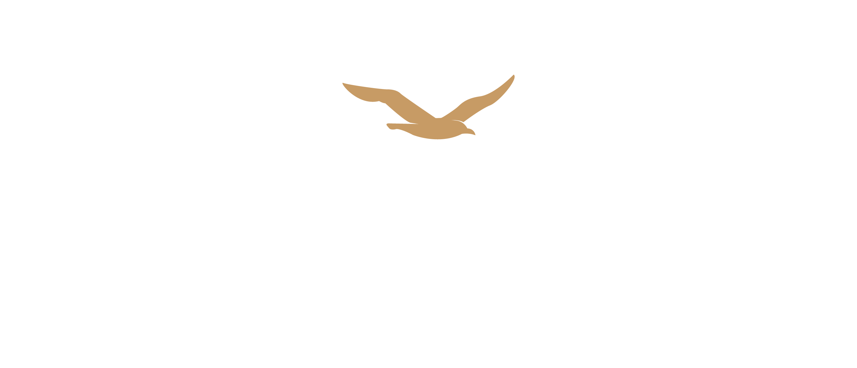 BLUE SEA
